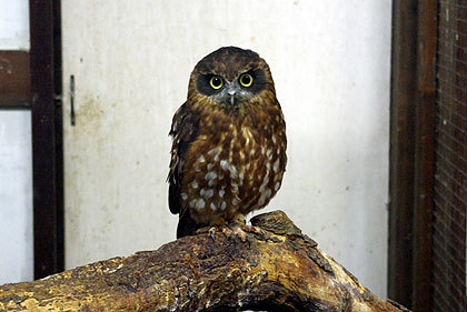 20120922-08.jpg