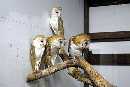 20120922-09.jpg