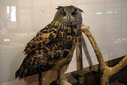 20120922-10.jpg