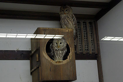 20120922-11.jpg
