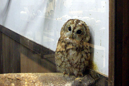 20120922-12.jpg