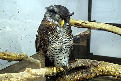 20120922-13.jpg