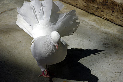 20120922-16.jpg