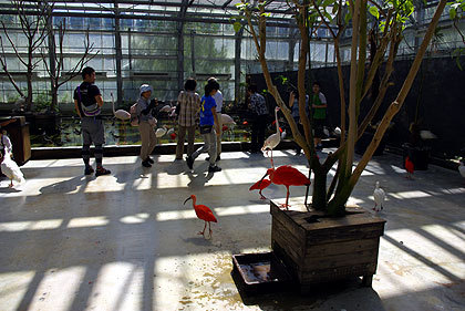 20120922-17.jpg