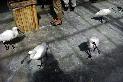 20120922-18.jpg