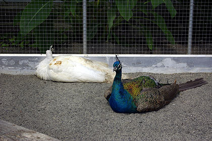 20120922-19.jpg