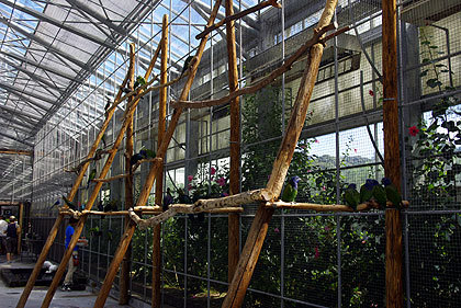 20120922-21.jpg
