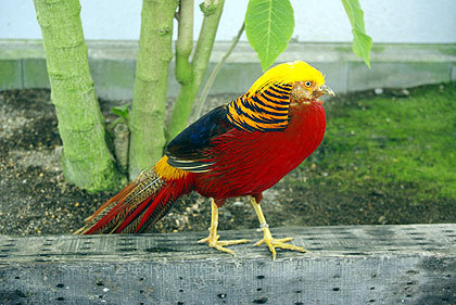 20120922-22.jpg