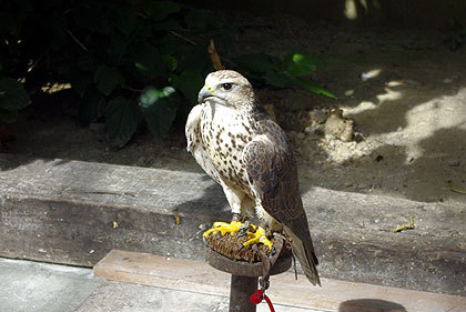 20120922-23.jpg