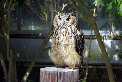 20120922-24.jpg