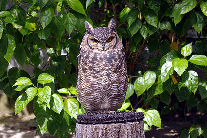 20120922-25.jpg