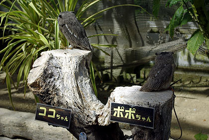 20120922-26.jpg