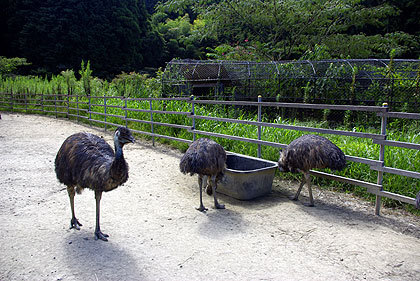 20120922-27.jpg