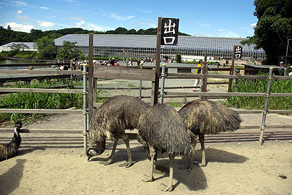 20120922-28.jpg