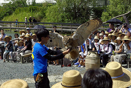 20120922-29.jpg