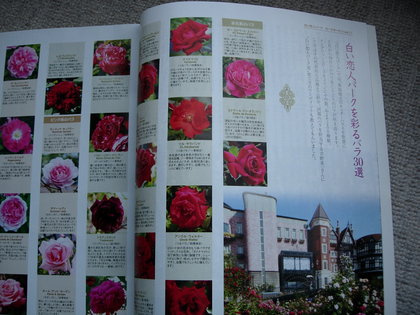 20081227-02.jpg