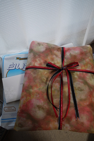 20090206-00.JPG