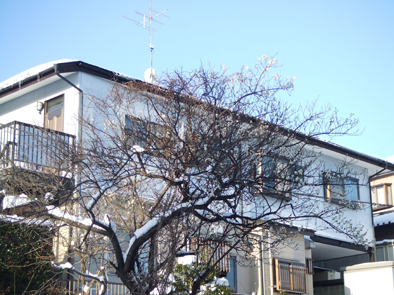 20070313-00.jpg