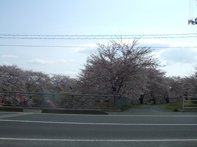 20070418-00.jpg