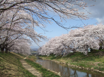 20070418-01.jpg