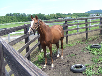 20070716-00.jpg