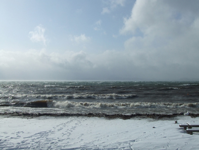 20080113-00.jpg