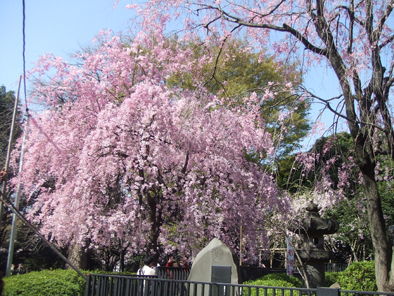 20080406-03.jpg