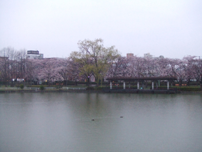 20080414-02.jpg