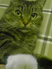 20051213-01.jpg