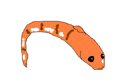 さかな
