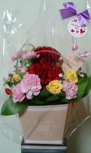 20100510-00.jpg