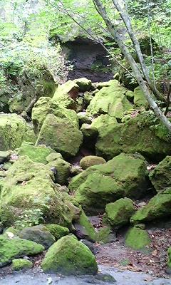 100912_1341~0001.jpg