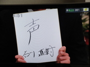 20100311-16.JPG