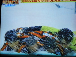 20100424-16.JPG