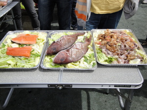 20100510-05.JPG