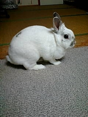 ムンタ