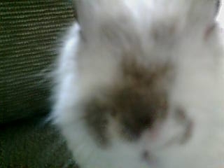 20071212-01.jpg