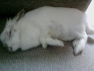20071212-03.jpg