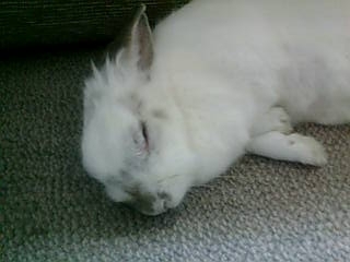 20071212-04.jpg