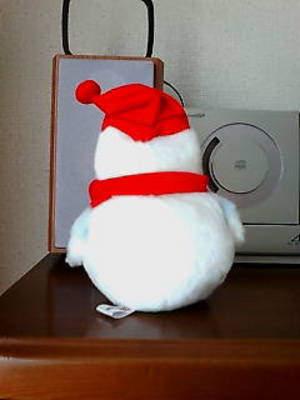 20080210-01.jpg