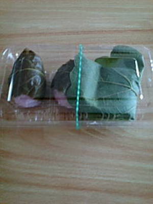 20080330-06.jpg