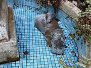 20081222-01.jpg