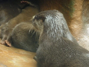 20090705-02.JPG