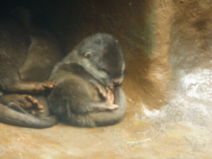 20090705-03.JPG