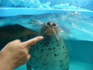 20090705-06.JPG