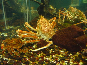 20090705-10.JPG