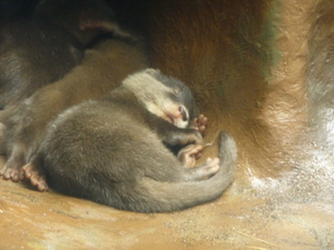 20090705-11.JPG