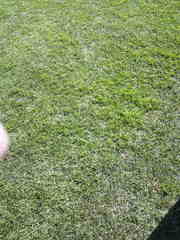 20090208-01.jpg