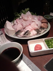 20090210-01.jpg