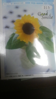 20090811-01.JPG